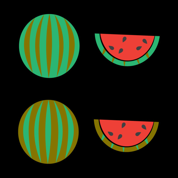 GOOGLE WALLET_WATERMELON